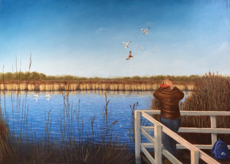 Bird watching at Radipole Lake, a bird watcher by Ian Money